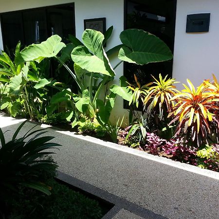Kelapa Lovina Beach Villa Exterior photo