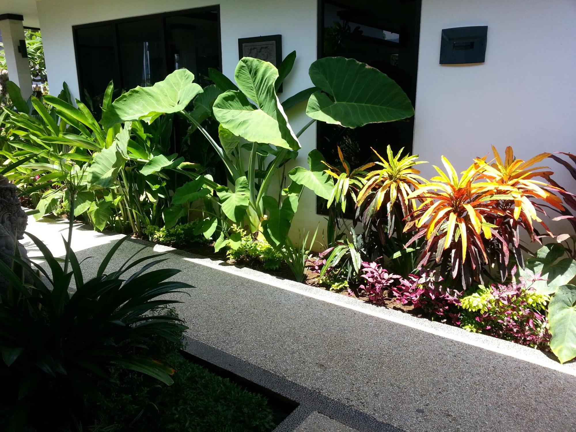Kelapa Lovina Beach Villa Exterior photo